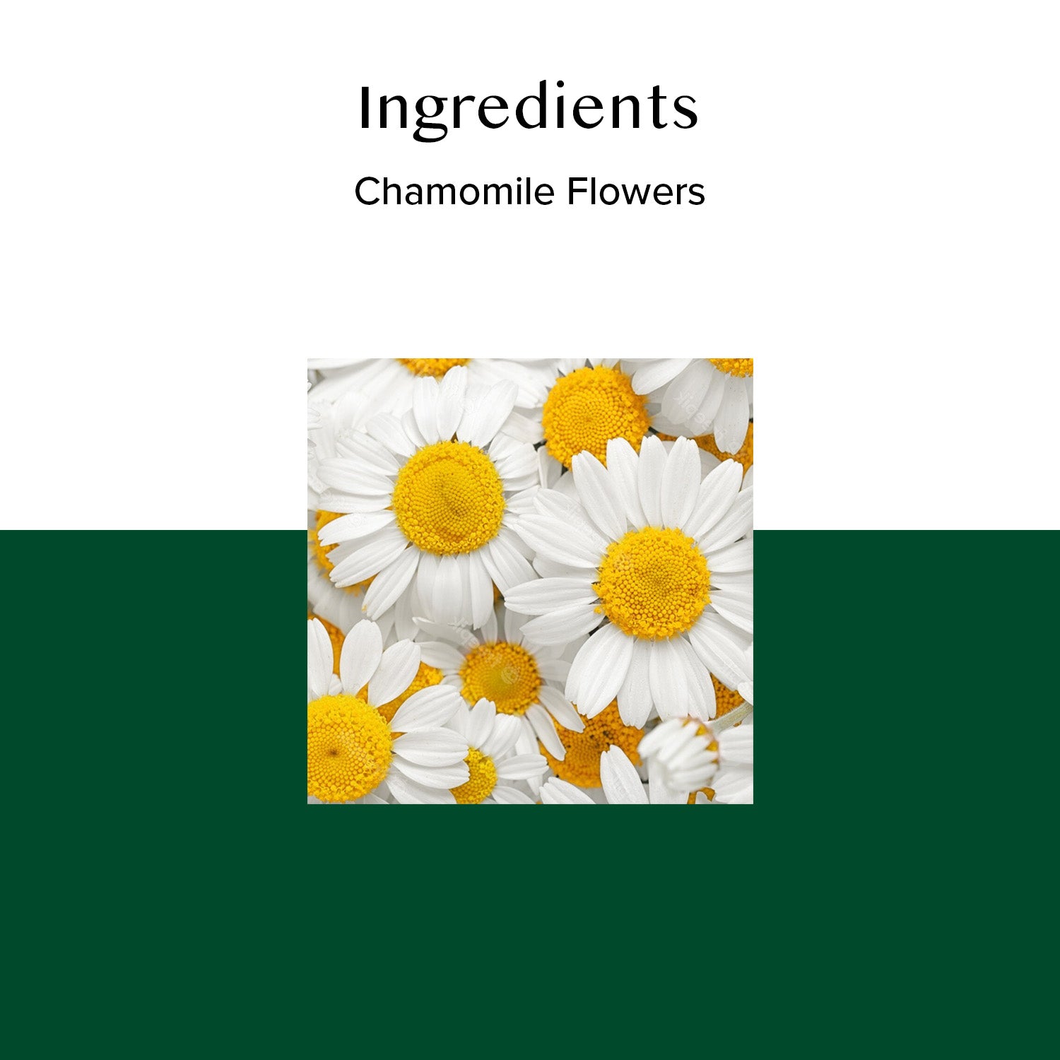 Classic Chamomile Herbal Tea, 100 Tea Bags