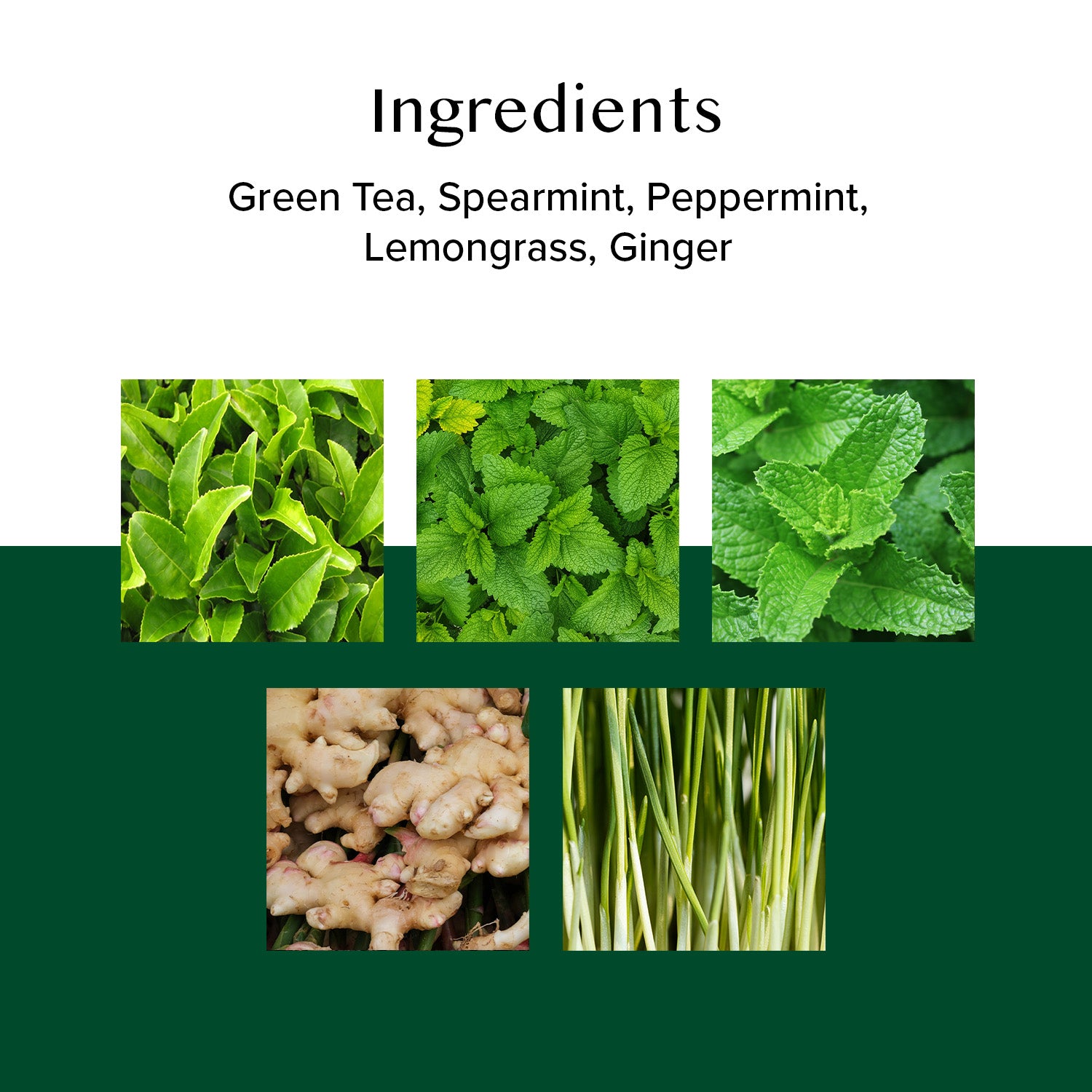 Ginger Mint Green Tea, 100 Count