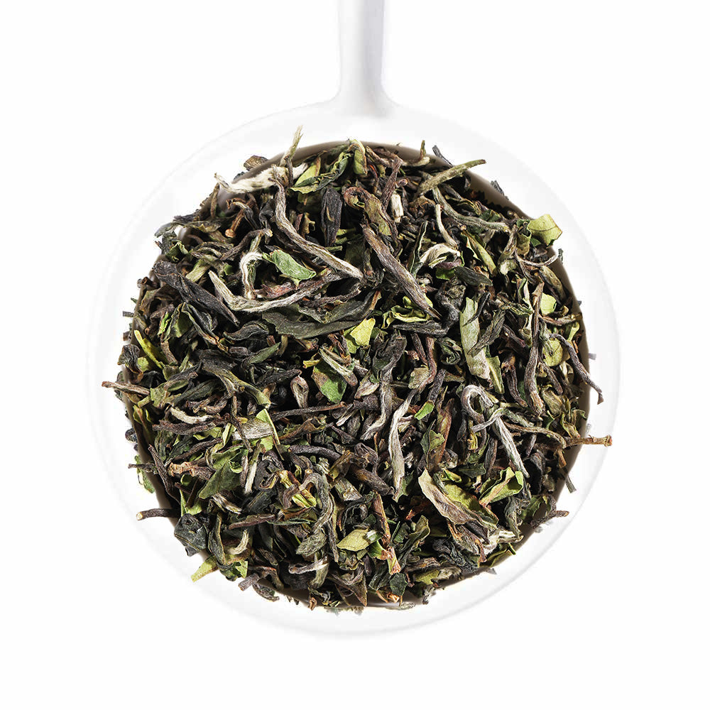 2024 Okayti Premium Darjeeling First Flush Black Tea OKT 11