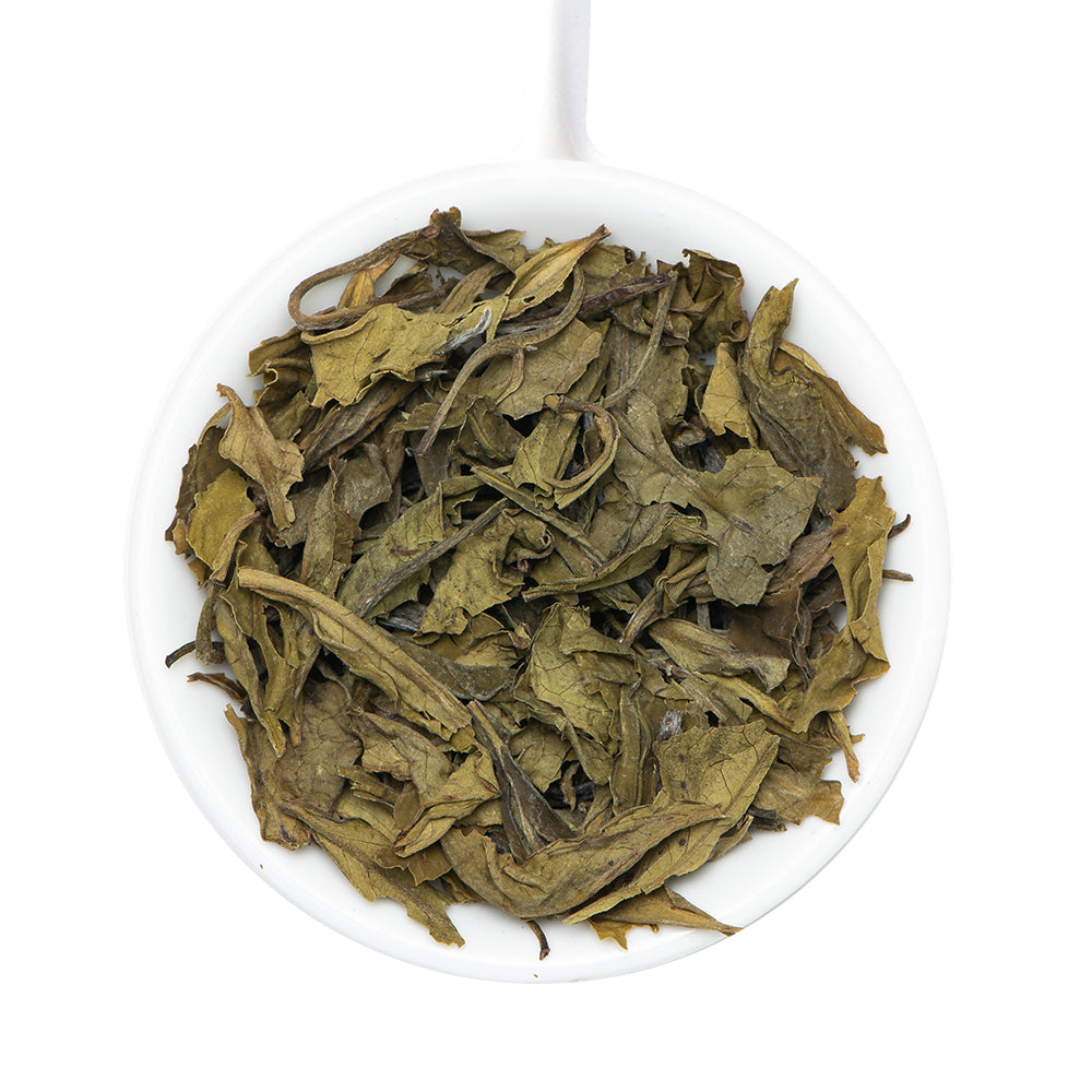 Blue Mountain Nilgiri White Tea, 1.76oz/50g , Image - 2